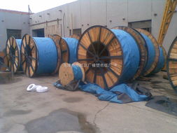 鍍錫電纜與JHS橡塑電纜的特點與應用