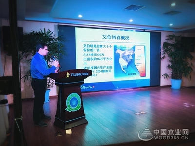 浙江農林大學子齊聚，見證‘Alberta杯’兔寶寶家居設計大賽再啟航